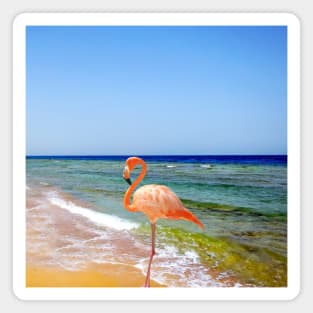 Flamingo On The Beach Magnet